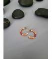 Σκουλαρίκια  enamel metal  two colors