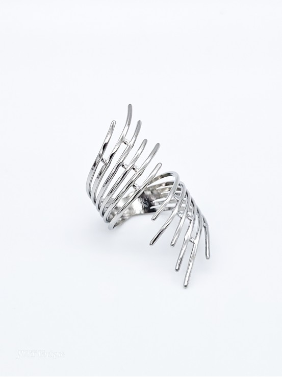 Δαχτυλίδι Fan ασημί