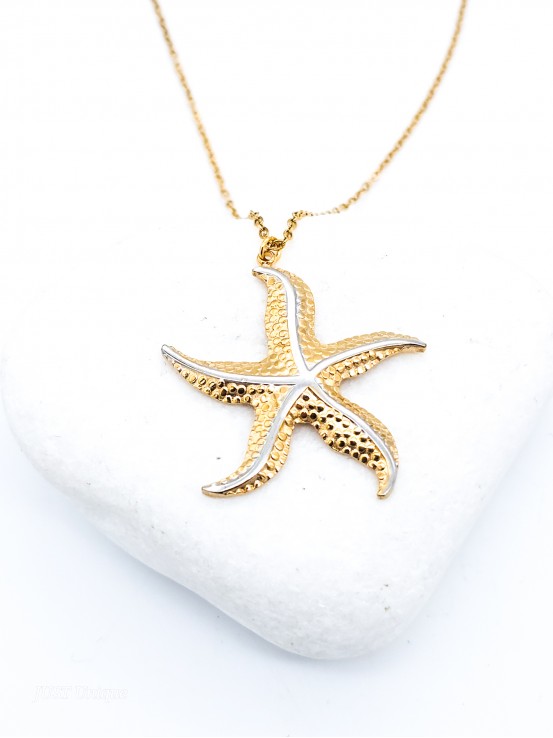 Κολιέ My Starfish δίχρωμο