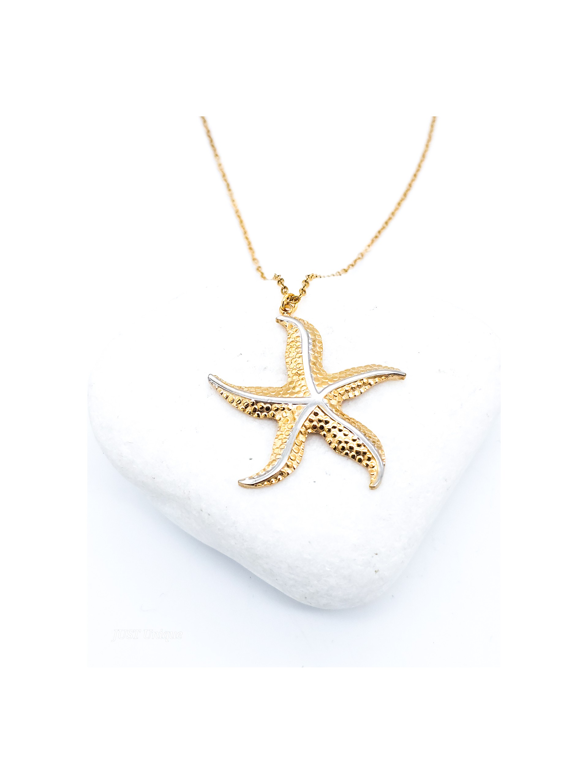 Κολιέ My Starfish δίχρωμο