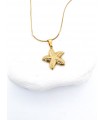 Κολιέ Αστερίας χρυσό