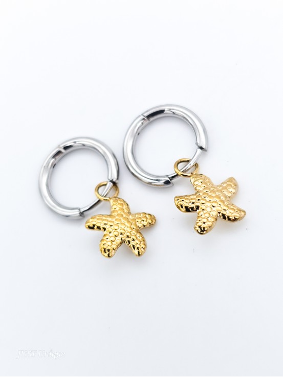 Σκουλαρίκια Hanging Starfish δίχρωμα